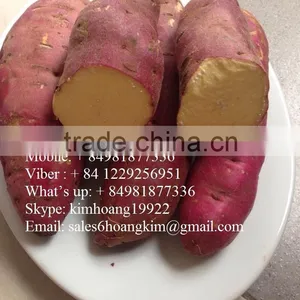 EXPORT SWEET POTATO , HIGHT QUALITY, COMPETITIVE PRICE thumbnail-3