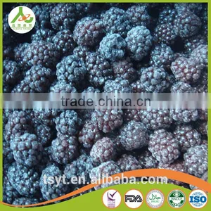 Asian Frozen Vegetables and Fruits Iqf Frozen Blackberry thumbnail-2