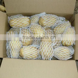 New Crop Fresh Potatoes thumbnail-1