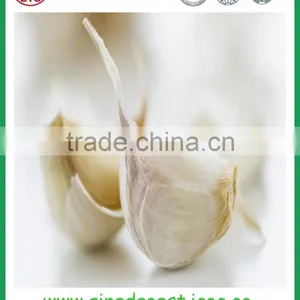 Chinese Jinxiang Grade A Fresh Normal White Garlic on Sale thumbnail-6