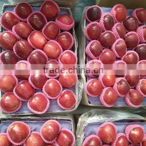 Chinese Fresh Apple Fresh Apple Fruit for Sale thumbnail-2