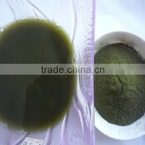 2015 100% Certified Organic Alfalfa Grass Powder thumbnail-4