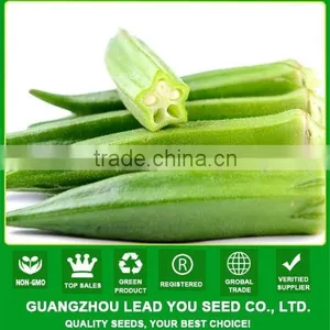NOK01 Siqu Hybrid Okra Seeds,okra Seed Price thumbnail-1