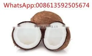 Best Selling Cold Oil Press Machine for Grain / Coconut Oil Press Machine thumbnail-1