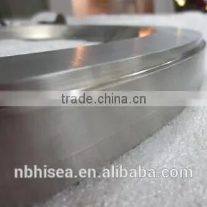Stainless Steel Ring Flange Bearing for Architectural thumbnail-2