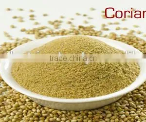 Coriander Powder thumbnail-3