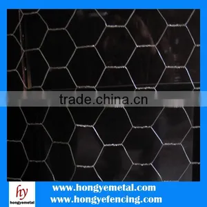 ISO High Quality PVC Coated Hot Dipped Galvanized Hexagonal Wire Mesh 10mm thumbnail-2