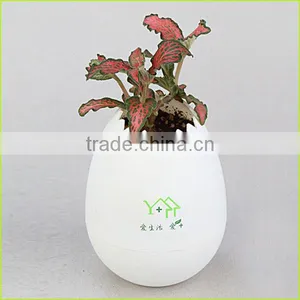 2015 New Arrival 9 Colorful Paint Plastic Flower Pot/Plastic Small Flower Pot Without Drainage Holes thumbnail-1