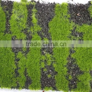 Artificial Moss Grass Wall for Decoration Real Artificial Moss Mat thumbnail-5