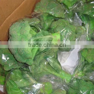Plastic Artificial Vegetable for Decoration thumbnail-1