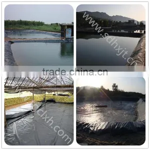 Manufacturer of Aquaculture Geomembrane thumbnail-1