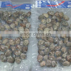 Raw Frozen Short Necked Clam thumbnail-1