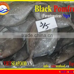 W/R FROZEN BLACK POMFRET thumbnail-1