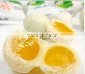Fat Filled Milk Powder for Candies thumbnail-2