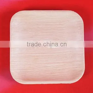 ARECA DISPOSABLE TABLEWARE thumbnail-1