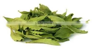 Stevia Leaves thumbnail-1