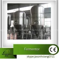 New Product Stainless Steel Beer Fermentor/ Beer Brewing Equipment thumbnail-1