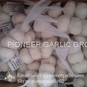 New Crop Fresh Chinese Pure White Garlic (5.0cm, 5.5cm, 6.0cm)Box Packing thumbnail-1