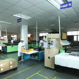 Guangdong Star New Material Co., Ltd. company overview - view 2 thumbnail