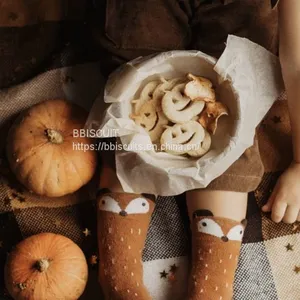 BISCUIT thumbnail-3