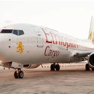 Air Freight - Air Cargo Direct Flights From Chengdu to Ethiopia, Transfer to Rome, Milan, Paris, Oslo, Stockholm, Etc thumbnail-1