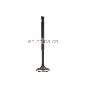 Factory Wholesale Auto Engine Component Engine Valve For Lada Samara 1.5 2108-1007010 thumbnail-2