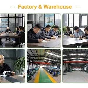 Linyi Sin San Lin Smart Machinery Co., Ltd company overview - view 2 thumbnail