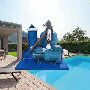 Small Swimming Pool Copper Silver Ion Water Processor, Disinfection and Sterilization of Swimming Pool Water Without the Need for Chemical Additives thumbnail-2
