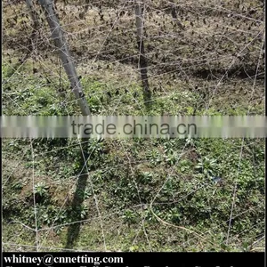 HDPE High Quality Cucumber Yam Support Plant Trellis Net thumbnail-4
