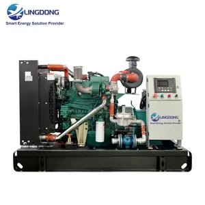 Factory Supply 62.5kVA Biogas Generator Set Price 50kW Genset Yuchai YC4D90N-D30 Engine Open Type Biogas Generator for Home Use thumbnail-2