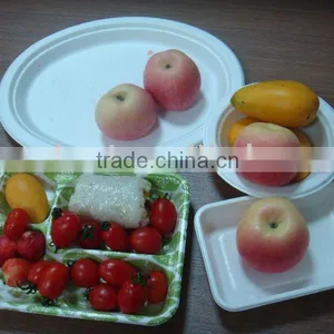Moulded Pulp Tableware thumbnail-1