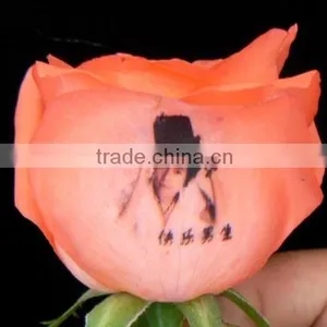 Affordable Digital Flower Printer thumbnail-3