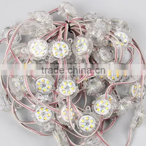 High Brightness DC24V SMD3528 6Pcs Waterproof IP67 Led Pixel For Led Lights thumbnail-3