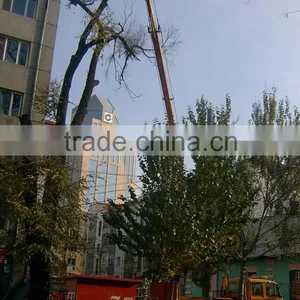 Truck Bed Fixed Hydraulic Boom Lift Platform for Rental and Dealing thumbnail-2