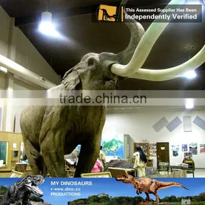 My Dino-C019 Lifelike Animal Theme Exhibition Mammoth for Sale thumbnail-1