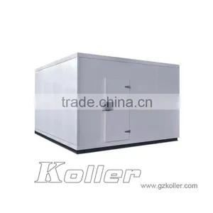 Low Temperature Cold Room For Fish/Meat Storage (-20 Degree) thumbnail-2