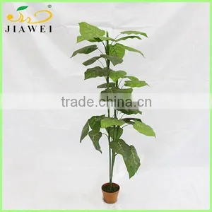 Decorative Artificial Plastic Scindapsus Palnt Tree for Sale thumbnail-1