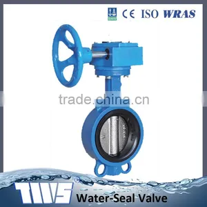 MD Worm Gear Cast Iron Wafer Butterfly Valve Wholesaler thumbnail-1