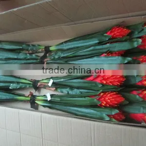 Artificial Plant Real Touch thumbnail-1