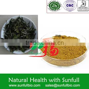 Instant White Tea Extract Powder thumbnail-1