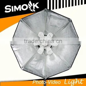 350W Continuous Light Photographic Equipment thumbnail-2