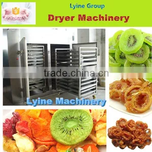 Lyine Machinery Hot Air Dryer Machine for Fruit and Vegetable thumbnail-1