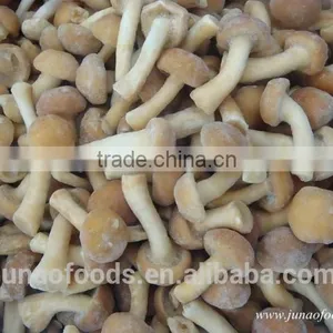 Grade A Chinese Nameko Mushroom Spawn for Sale thumbnail-4