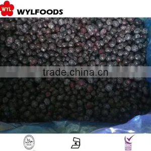 Supply Chian Fruite Organic Frozen IQF Black Currants thumbnail-6