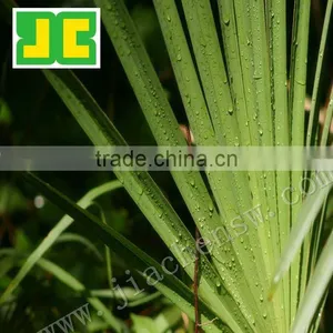 Sell Fatty Acid From Saw Palmetto Extract thumbnail-1