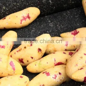 Cassava Peeling and Washing Machine Cassava Peeling Machine Cassava Processing Machine thumbnail-4