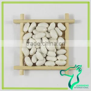 All Types of Dried White Kidney Beans For Canned thumbnail-2
