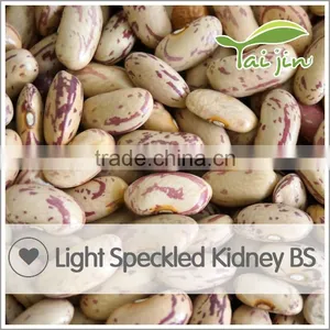New Arrival Borlotti Bean Market Price thumbnail-3