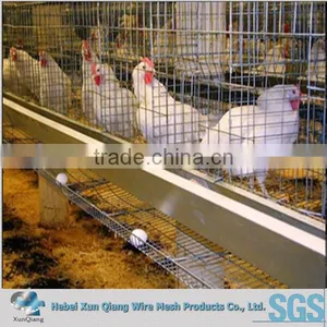 H Type 120 Layers Chicken Cage Laying Hens thumbnail-1