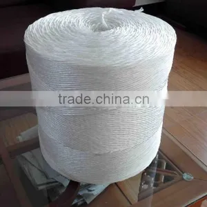 Hot Sale Twisted 1 Ply Hay Baler Twine thumbnail-2